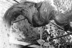 2014-03-28_118(2)